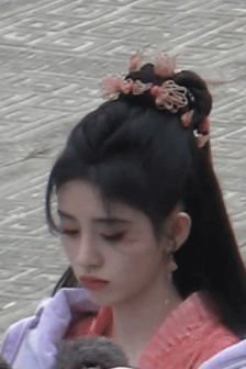 宠物小精灵bw目录